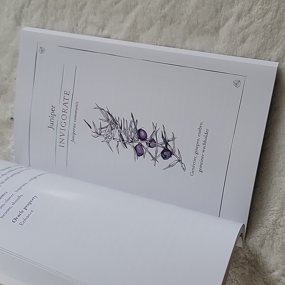 Hedgewitch Botanical Oracle - Picture 8 of 10